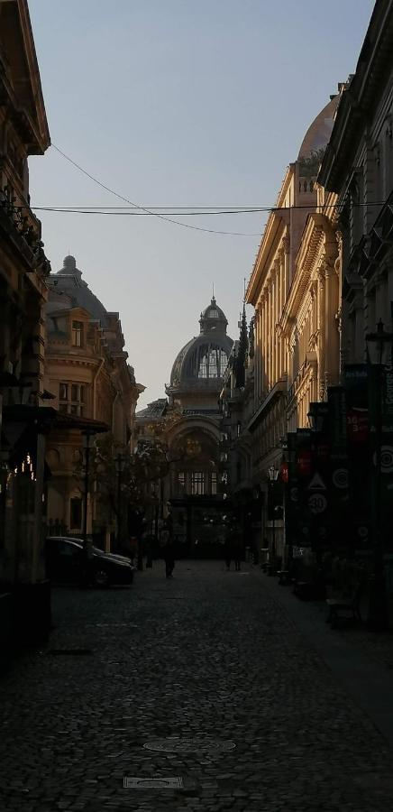 Alt Studio Lägenhet Bukarest Exteriör bild